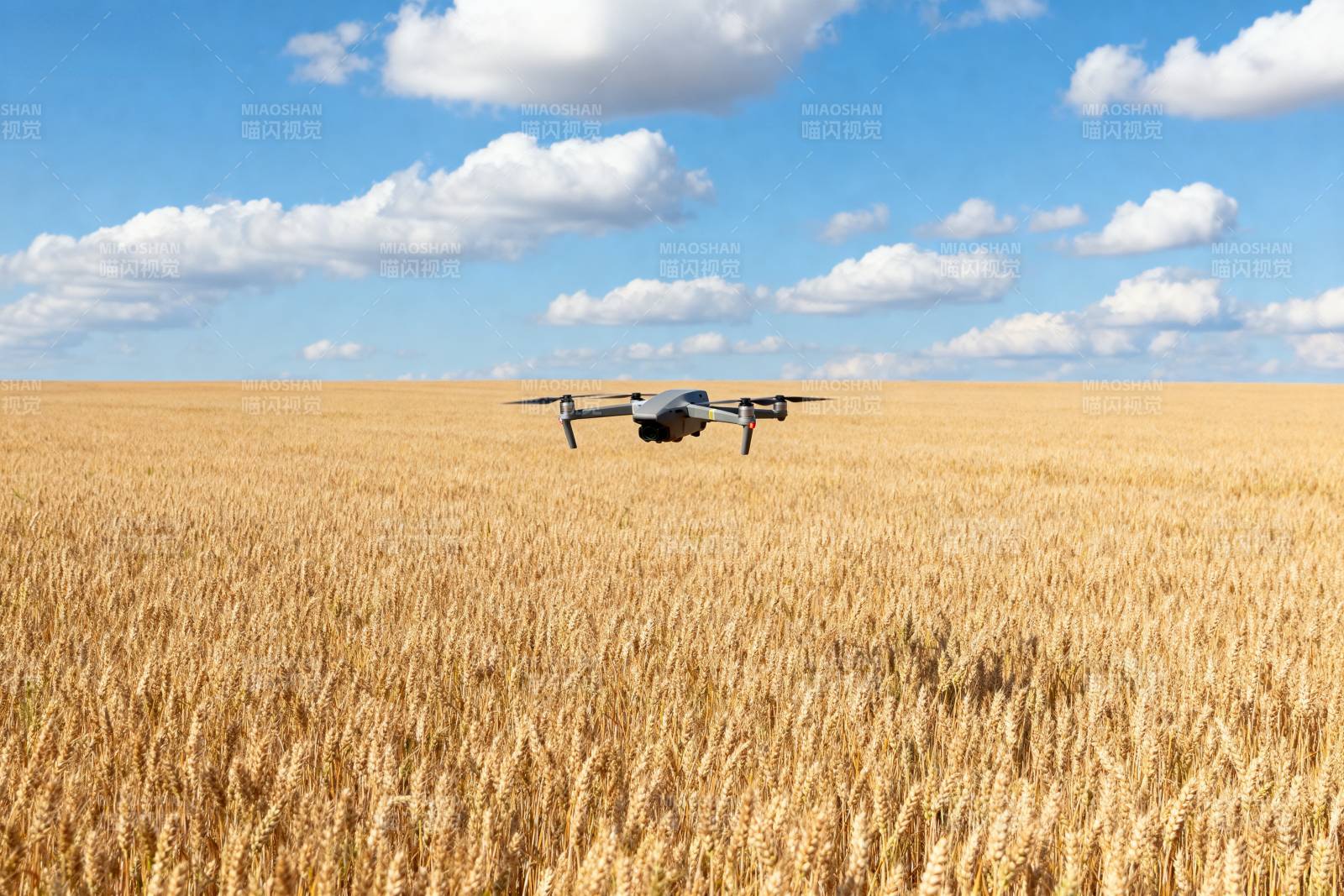无人机飞越麦田图片
