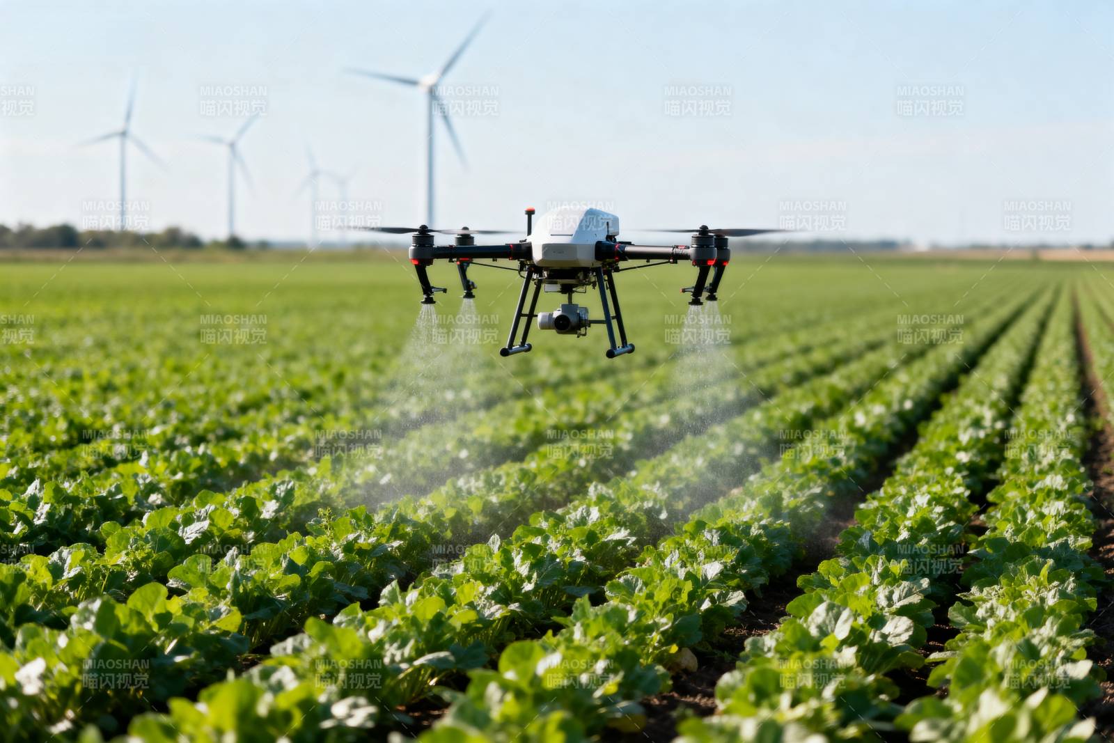 无人机农田喷洒图片