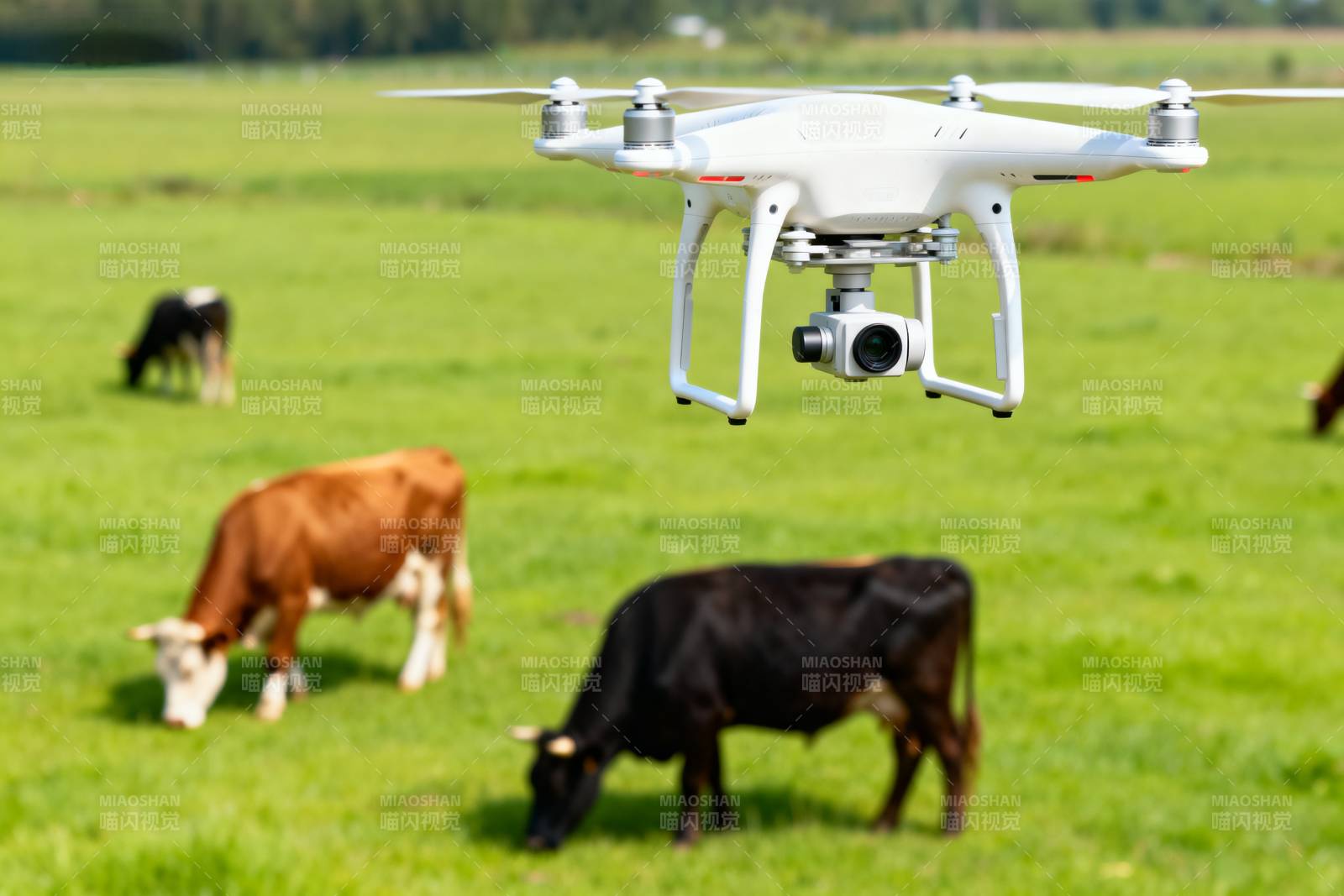 无人机巡检牧场图片