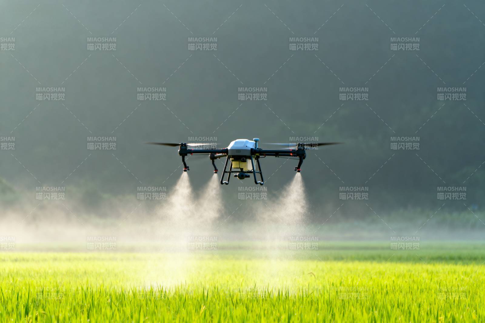 无人机喷洒农田图片