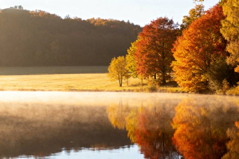 秋湖晨雾映彩林图片