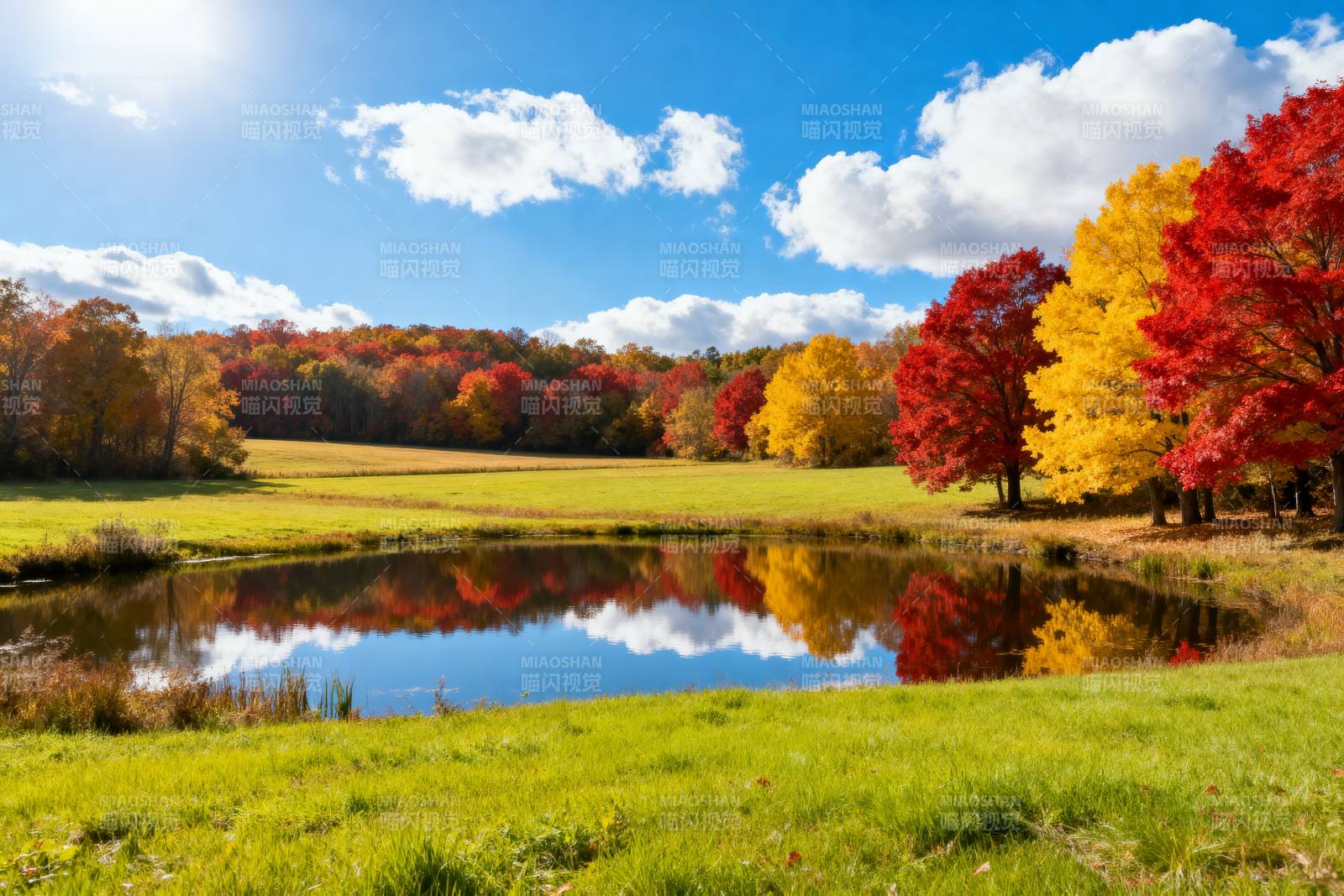 秋日湖畔风光图片