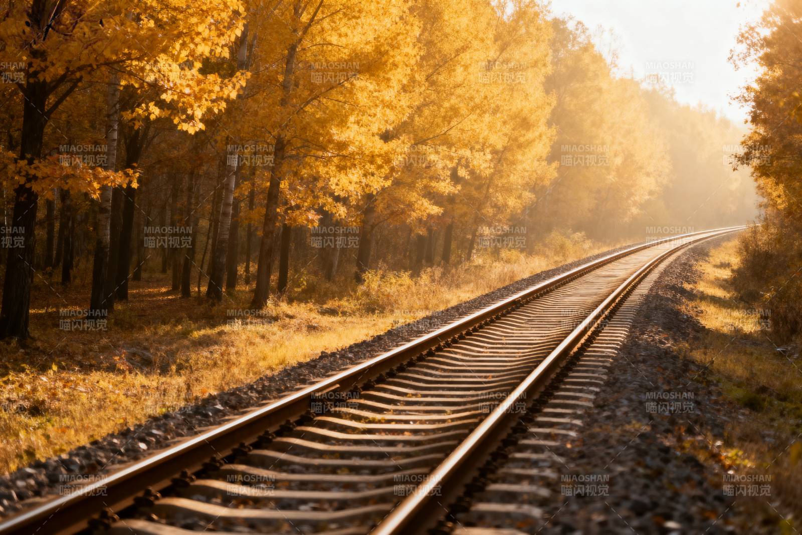 秋日铁轨延伸图片