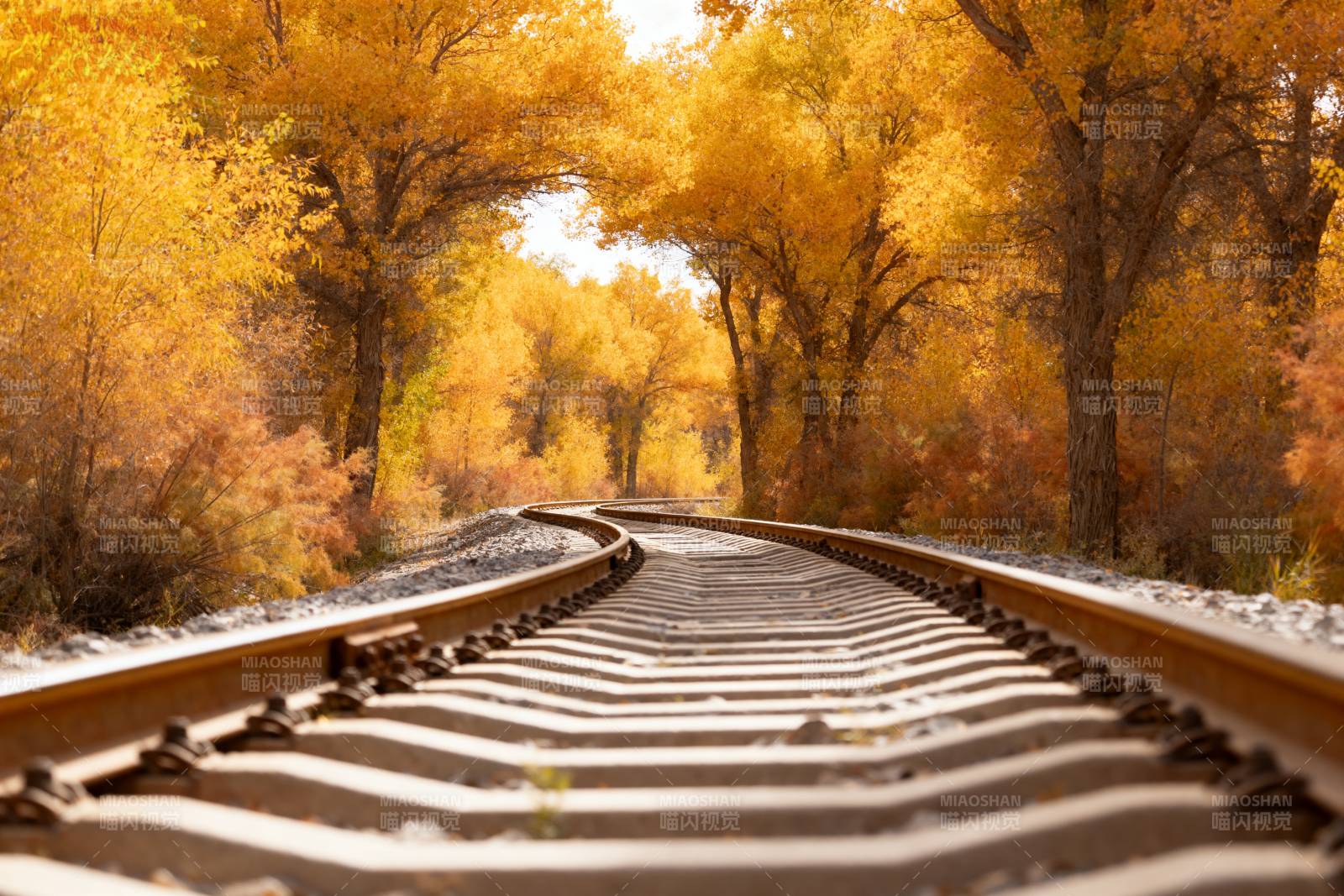 秋日铁轨美景图片