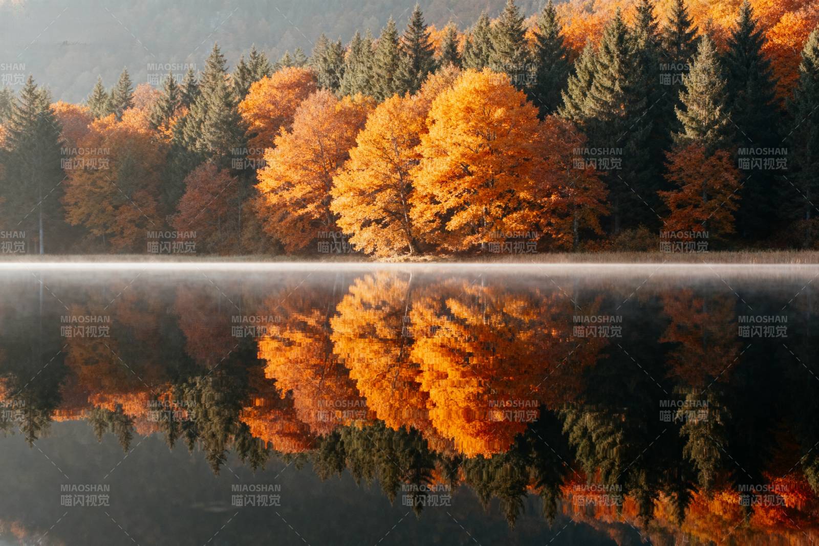 秋林倒影湖中图片