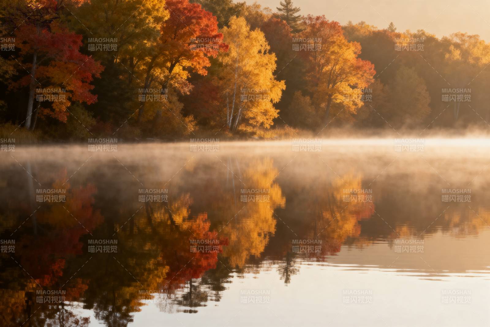 秋湖晨雾映彩林图片