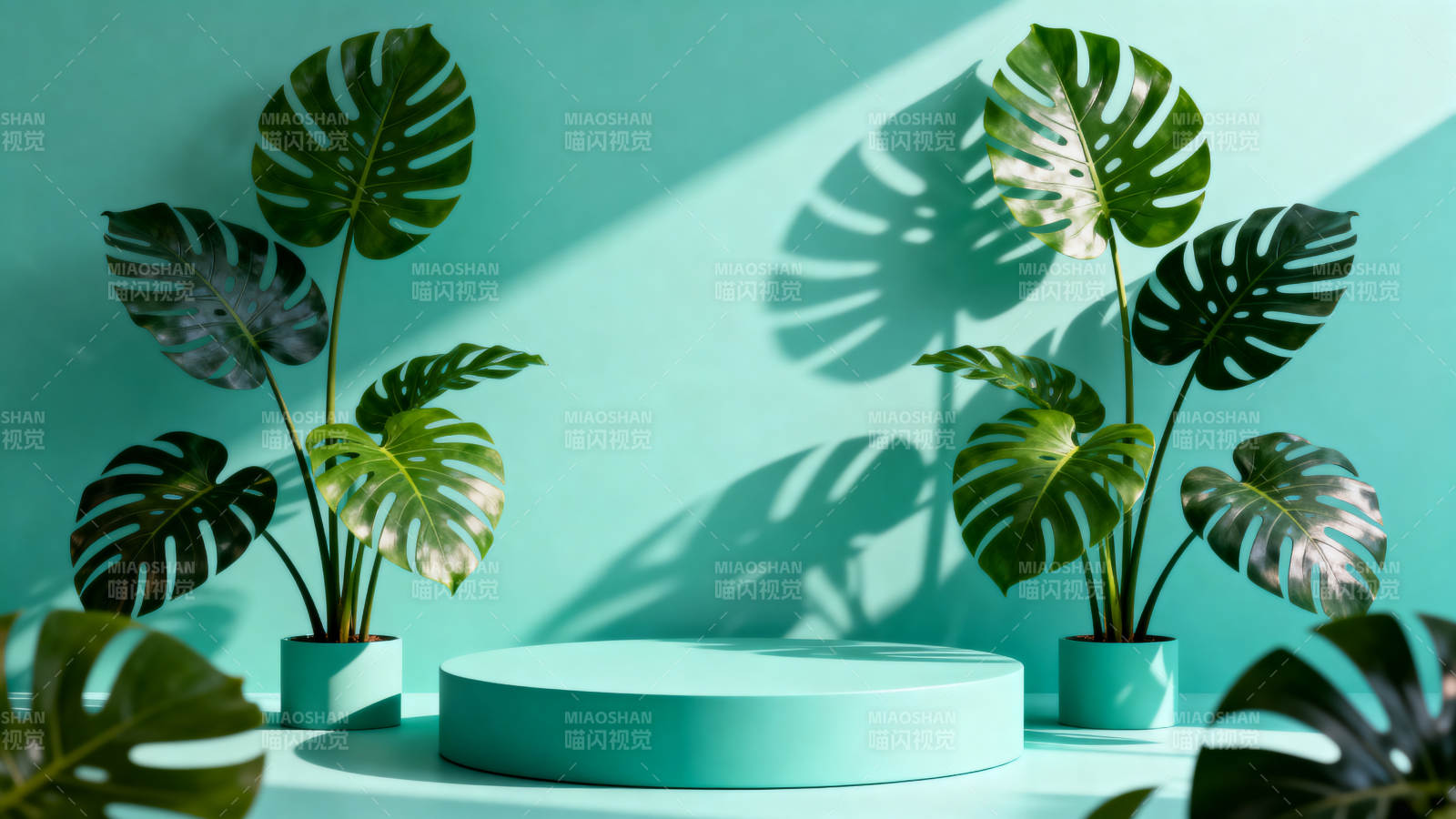 绿植光影艺术图片