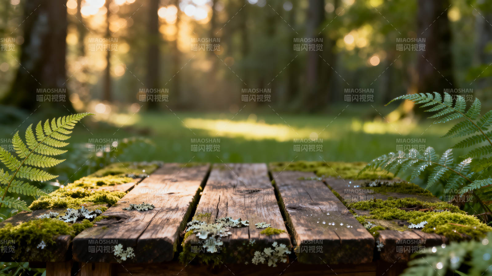林间木桌静谧景图片