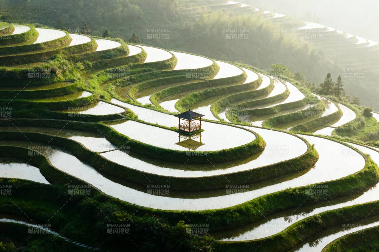 梯田晨曦 亭影如画图片