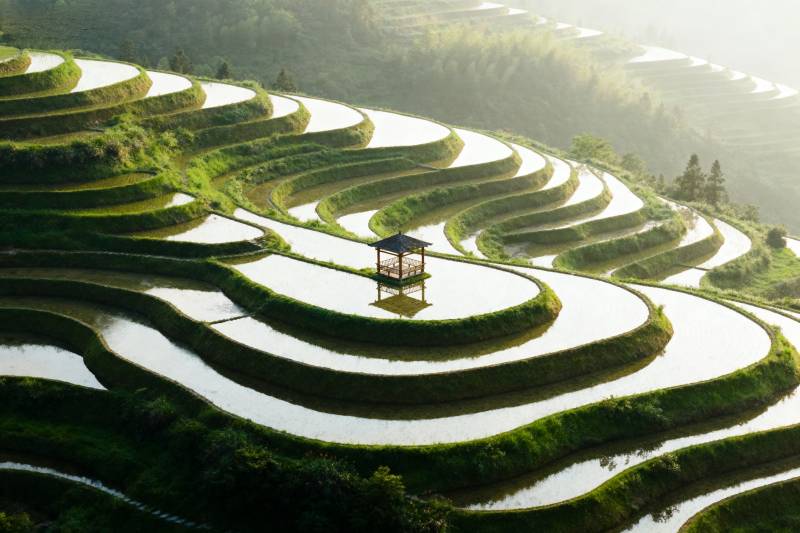 梯田晨曦 亭影如画图片