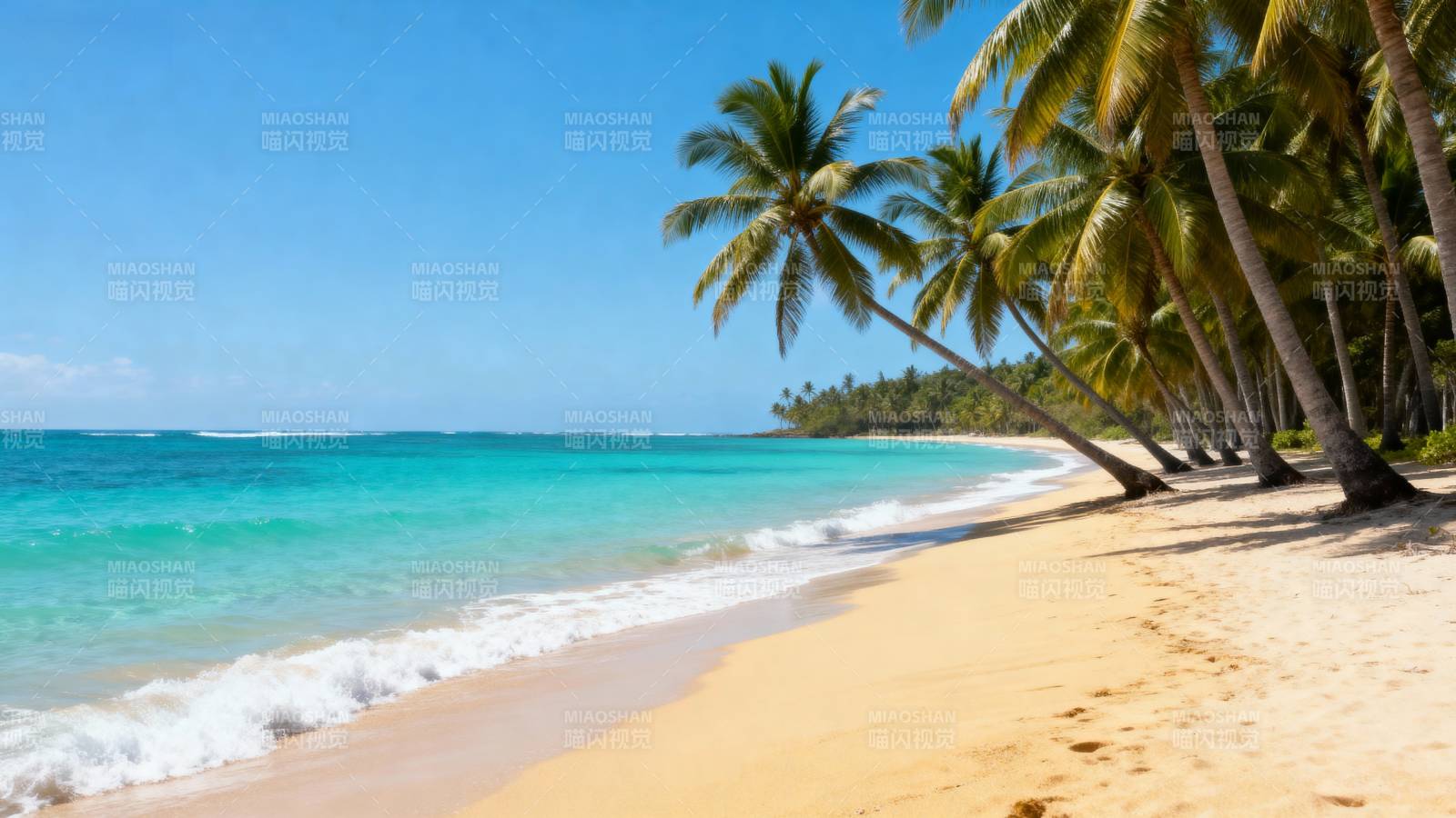 热带海滩风光图片
