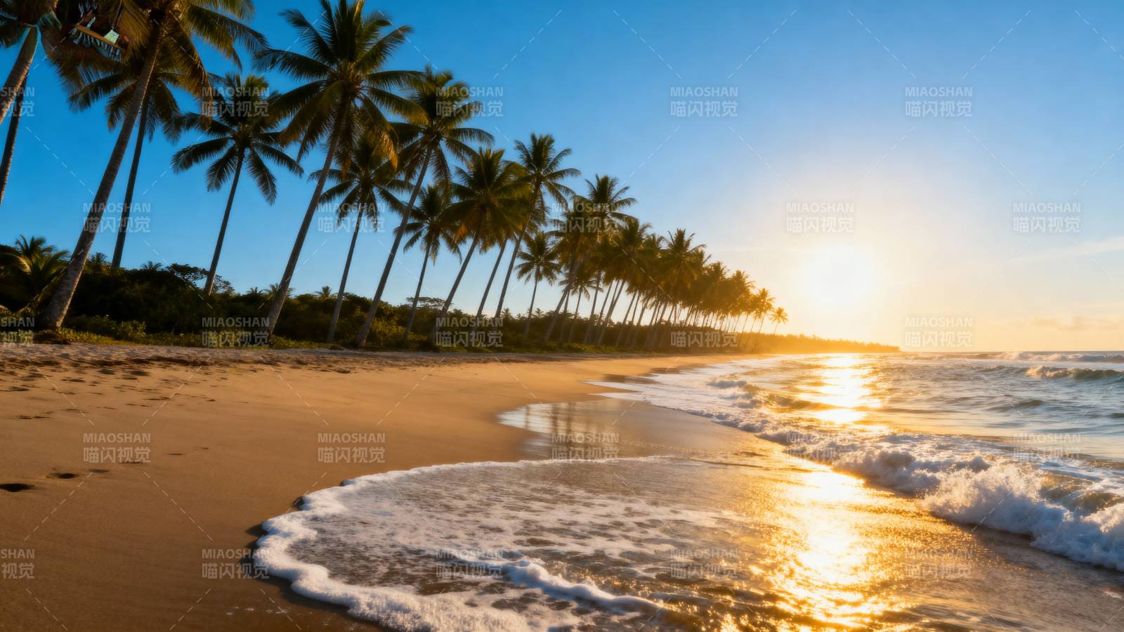 椰林沙滩日出美景图片