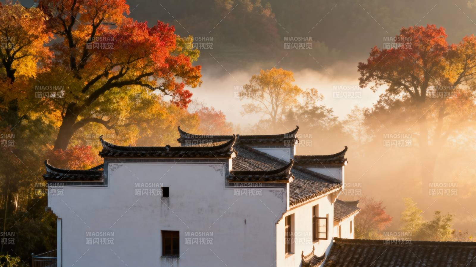 秋晨古村雾中景图片