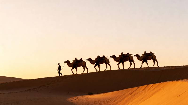 沙漠驼队剪影图片