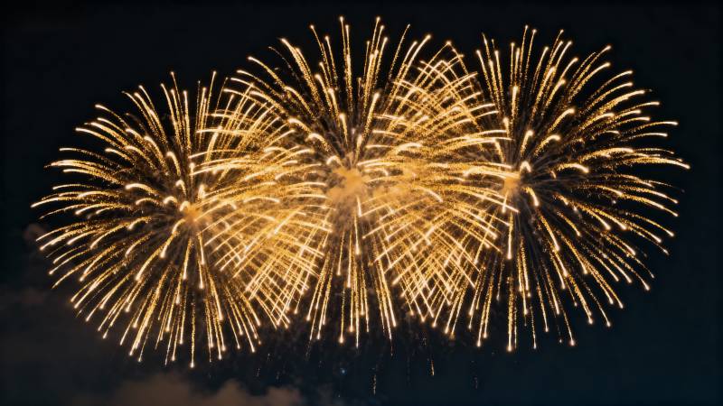 璀璨烟花绽放夜空图片