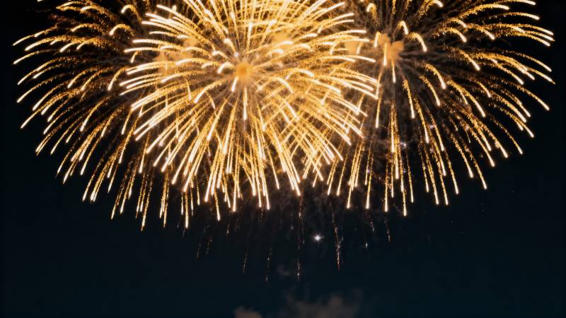 璀璨烟花绽放夜空图片