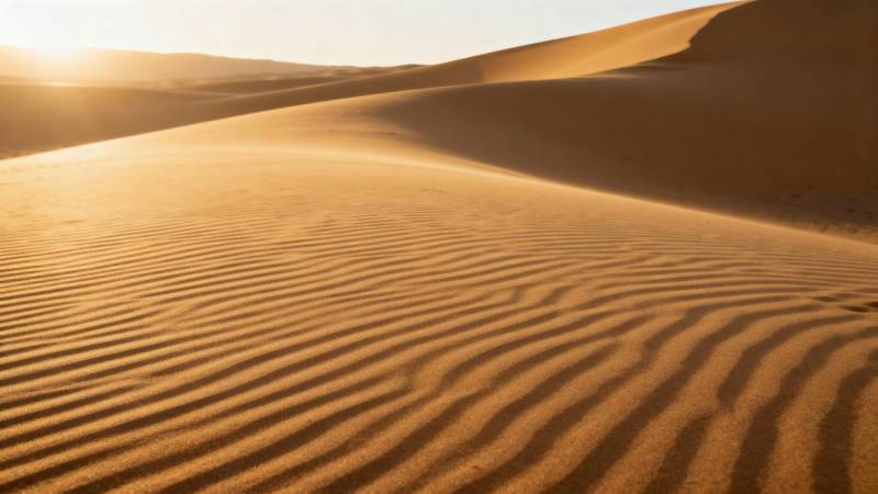 沙漠沙丘日出图片