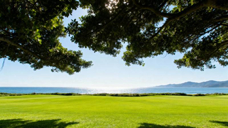 绿茵海岸风光图片