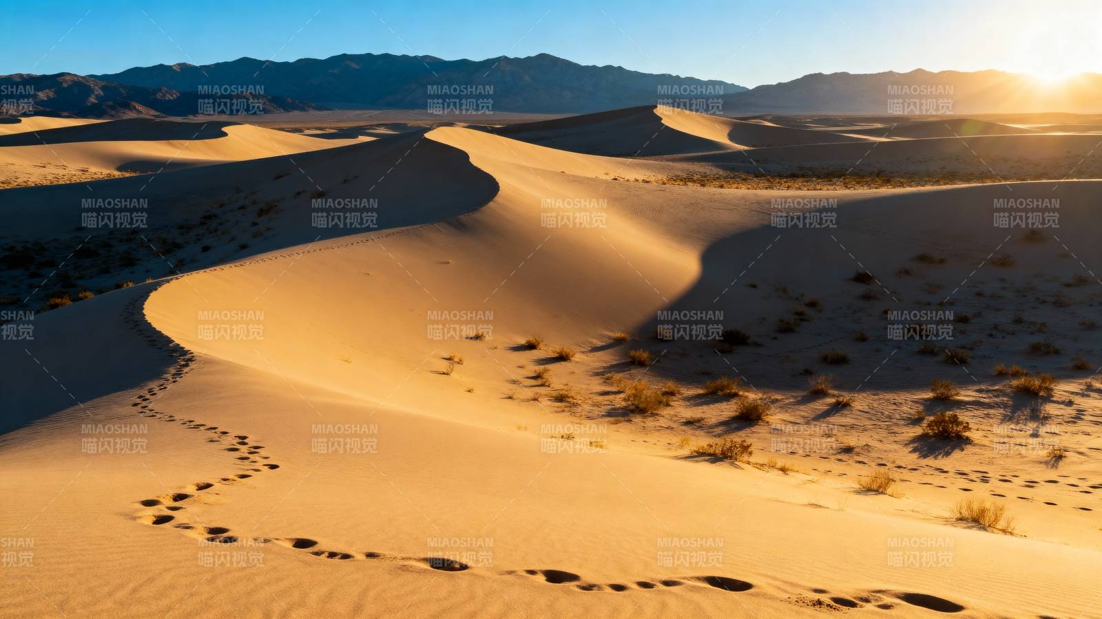 沙漠日出足迹图片