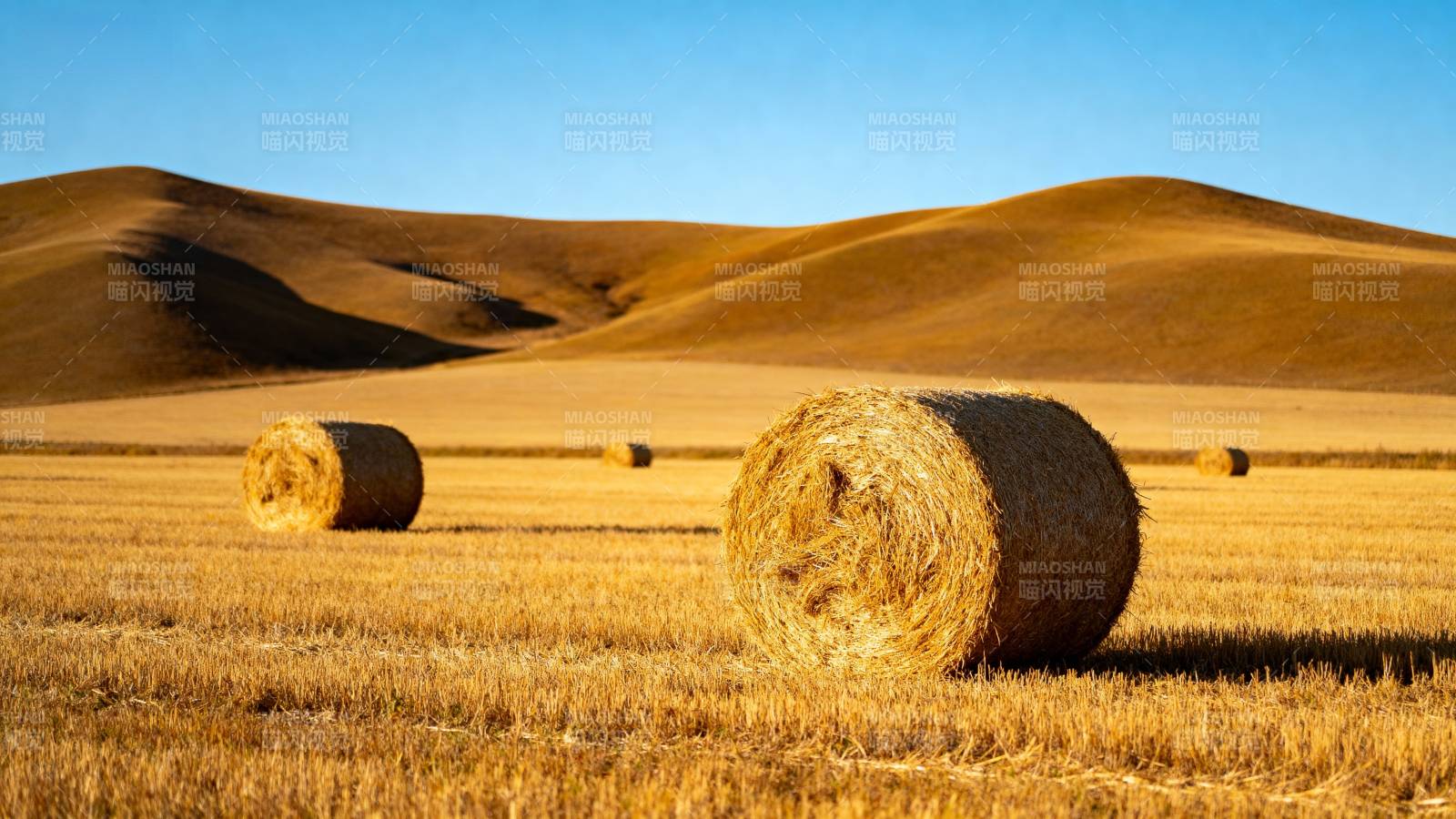 金秋麦田草垛图片