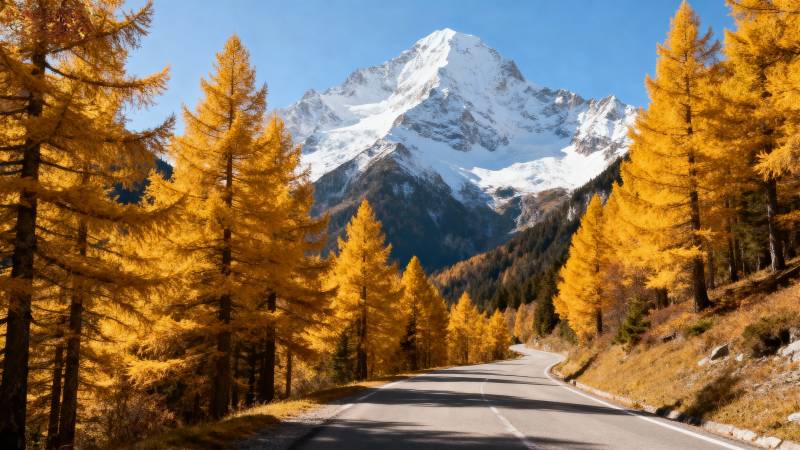 秋林雪峰公路图片