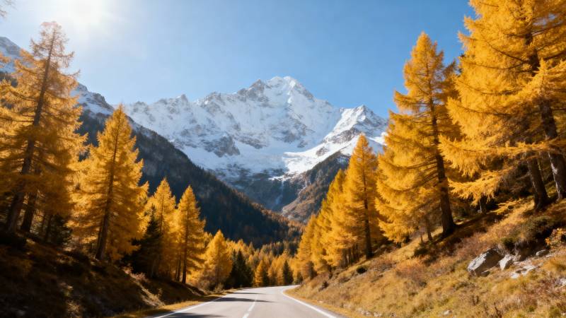 秋山雪峰路图片