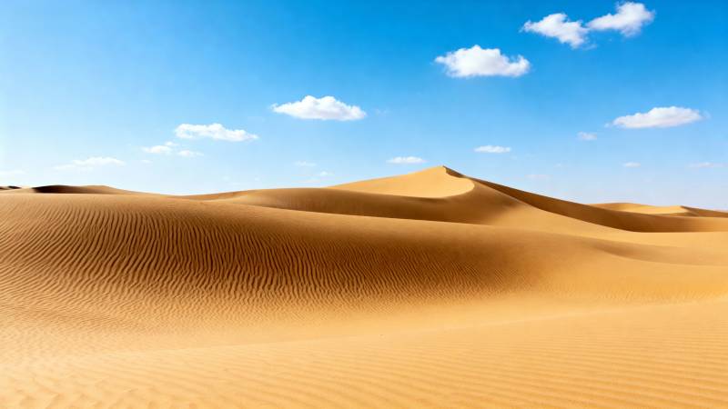 金色沙丘映蓝天图片