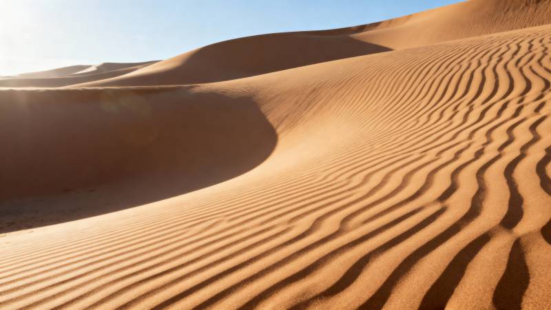 沙漠沙丘的波纹图片