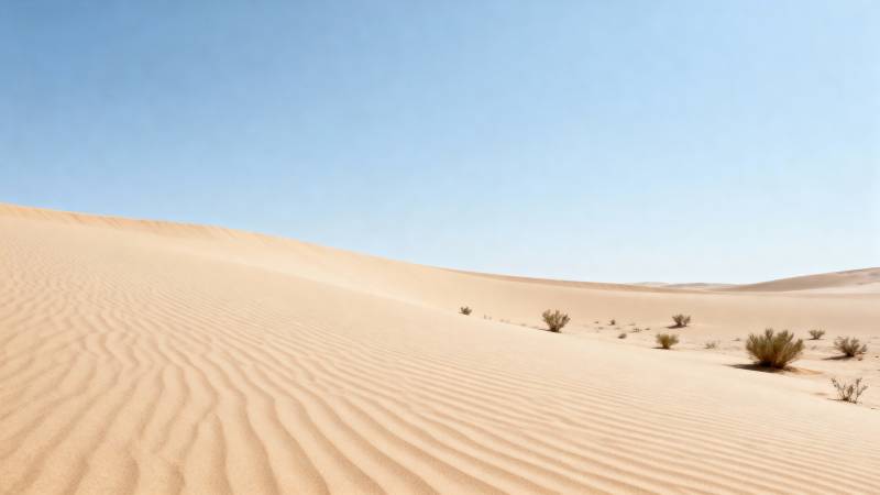 沙漠沙丘风光图片