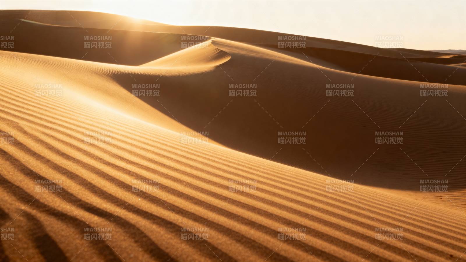 金色沙丘晨曦图片