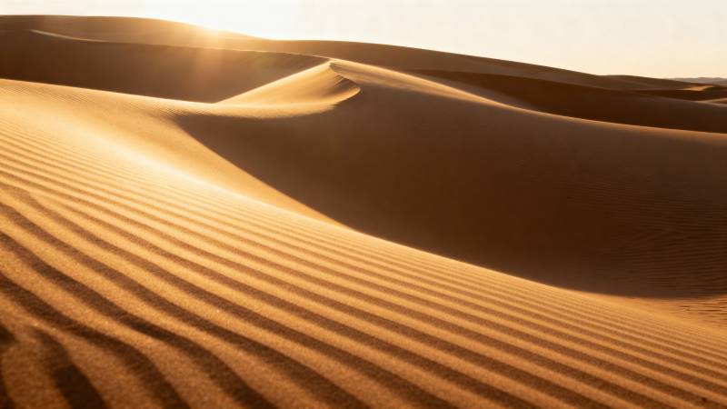 金色沙丘晨曦图片