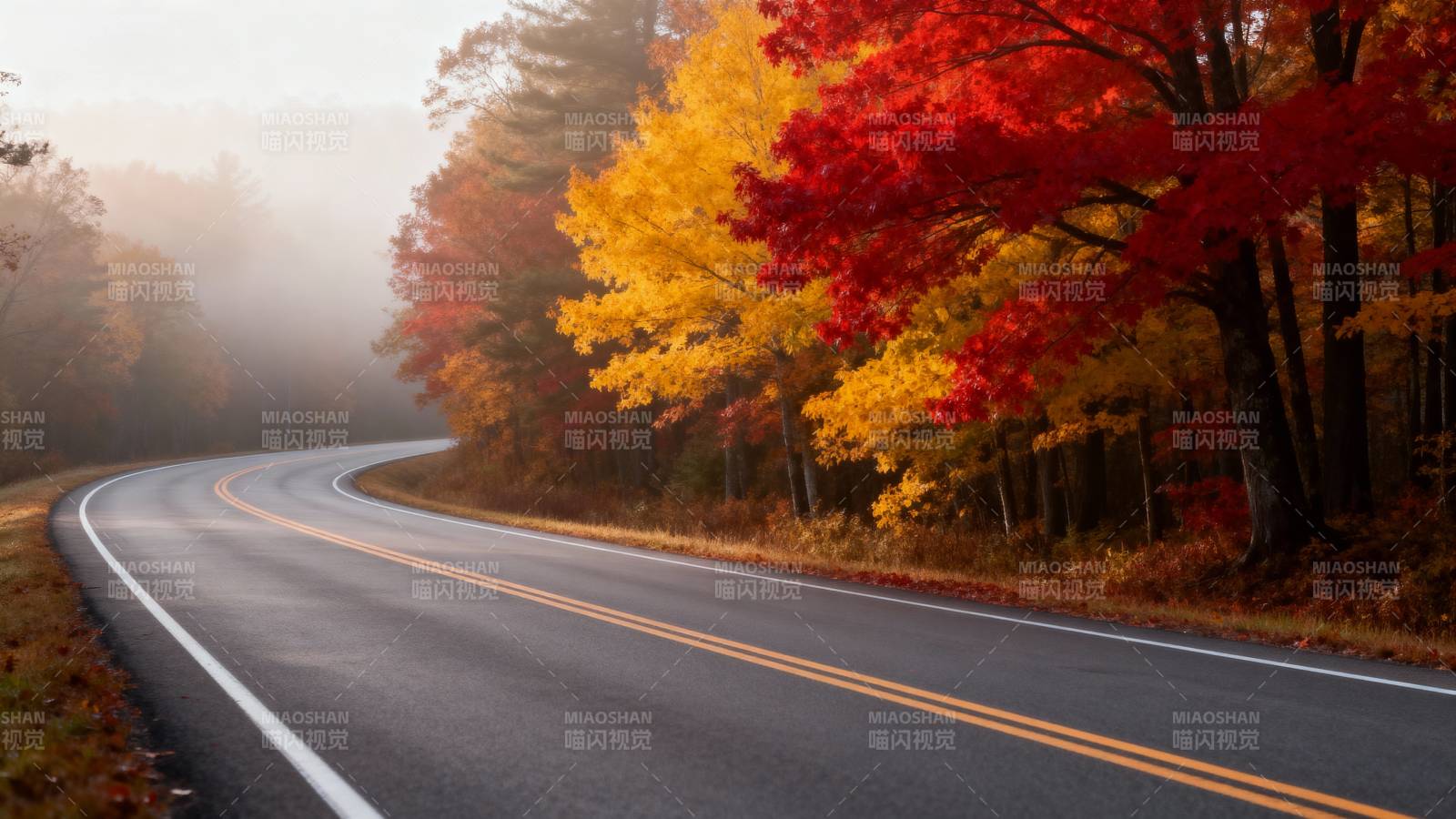 秋色公路图片