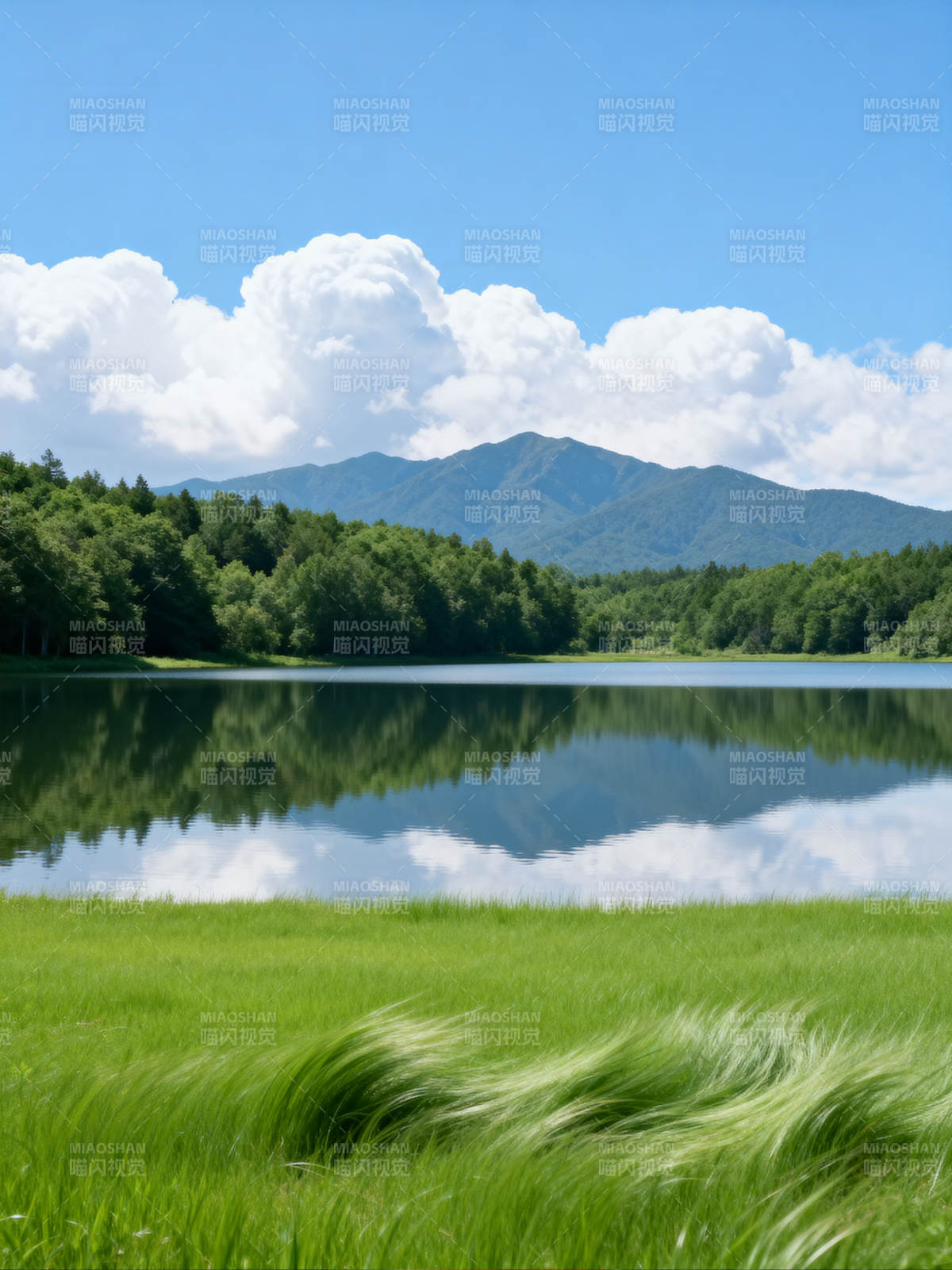 湖光山色 绿意盎然图片