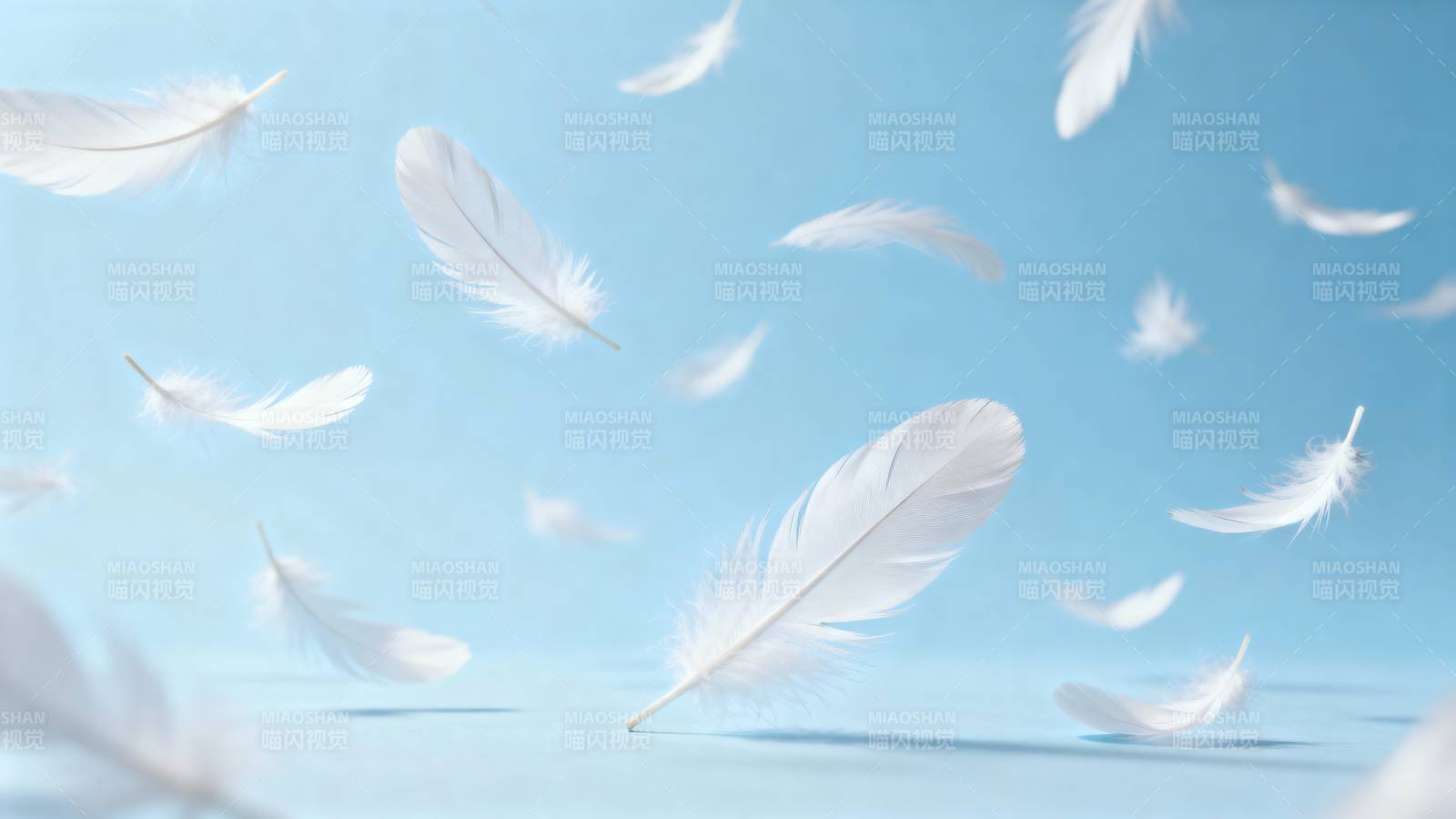 羽毛飘舞蓝天图片