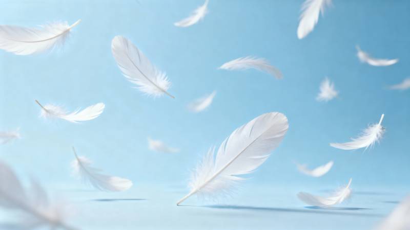 羽毛飘舞蓝天图片