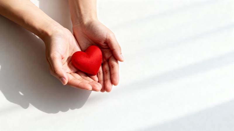 双手捧红心图片