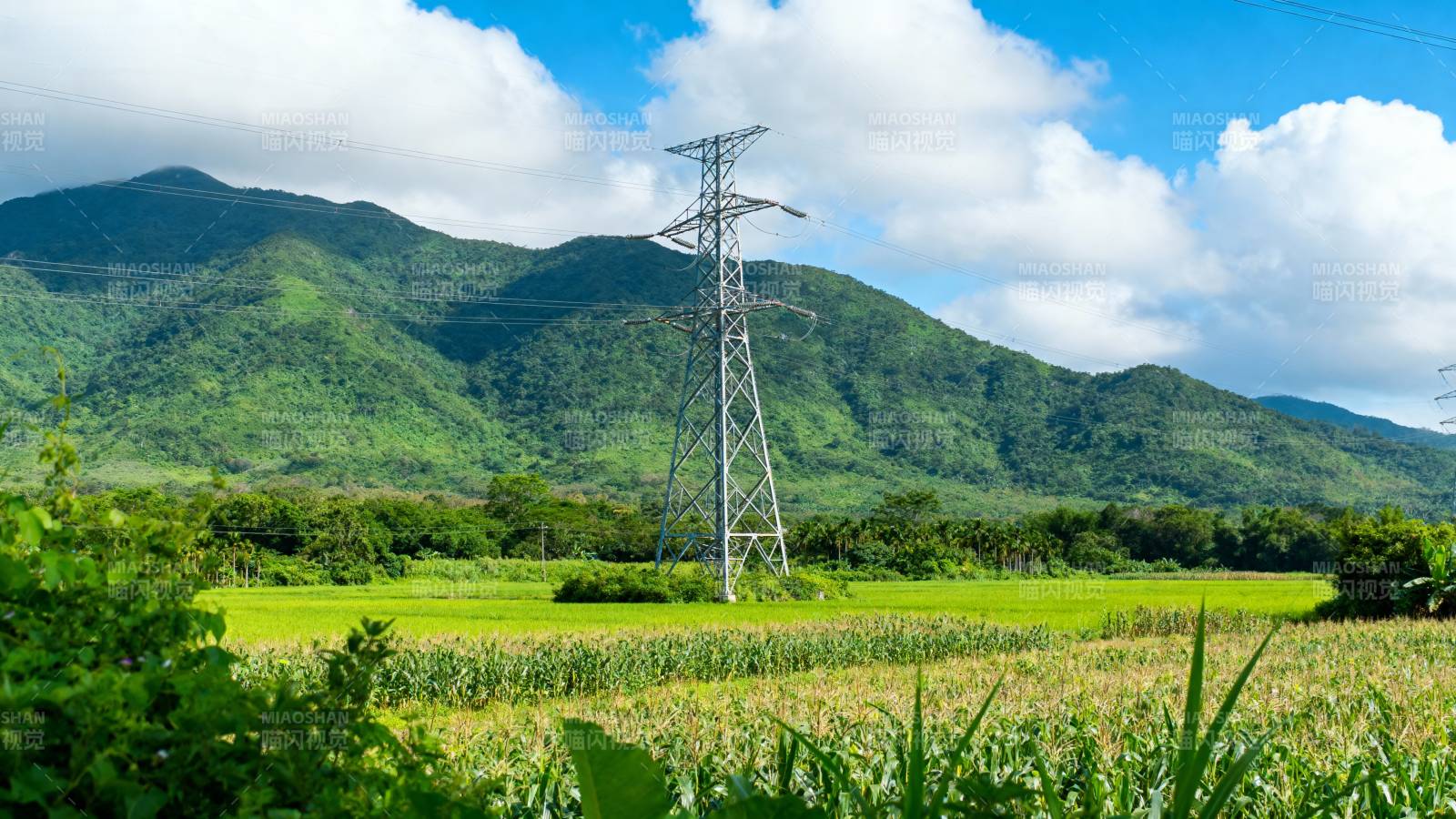 青山绿野电塔矗立图片