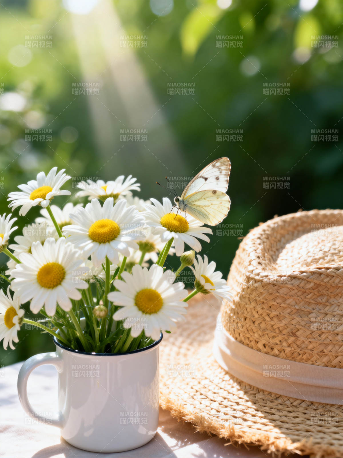 雏菊与蝶的夏日时光图片