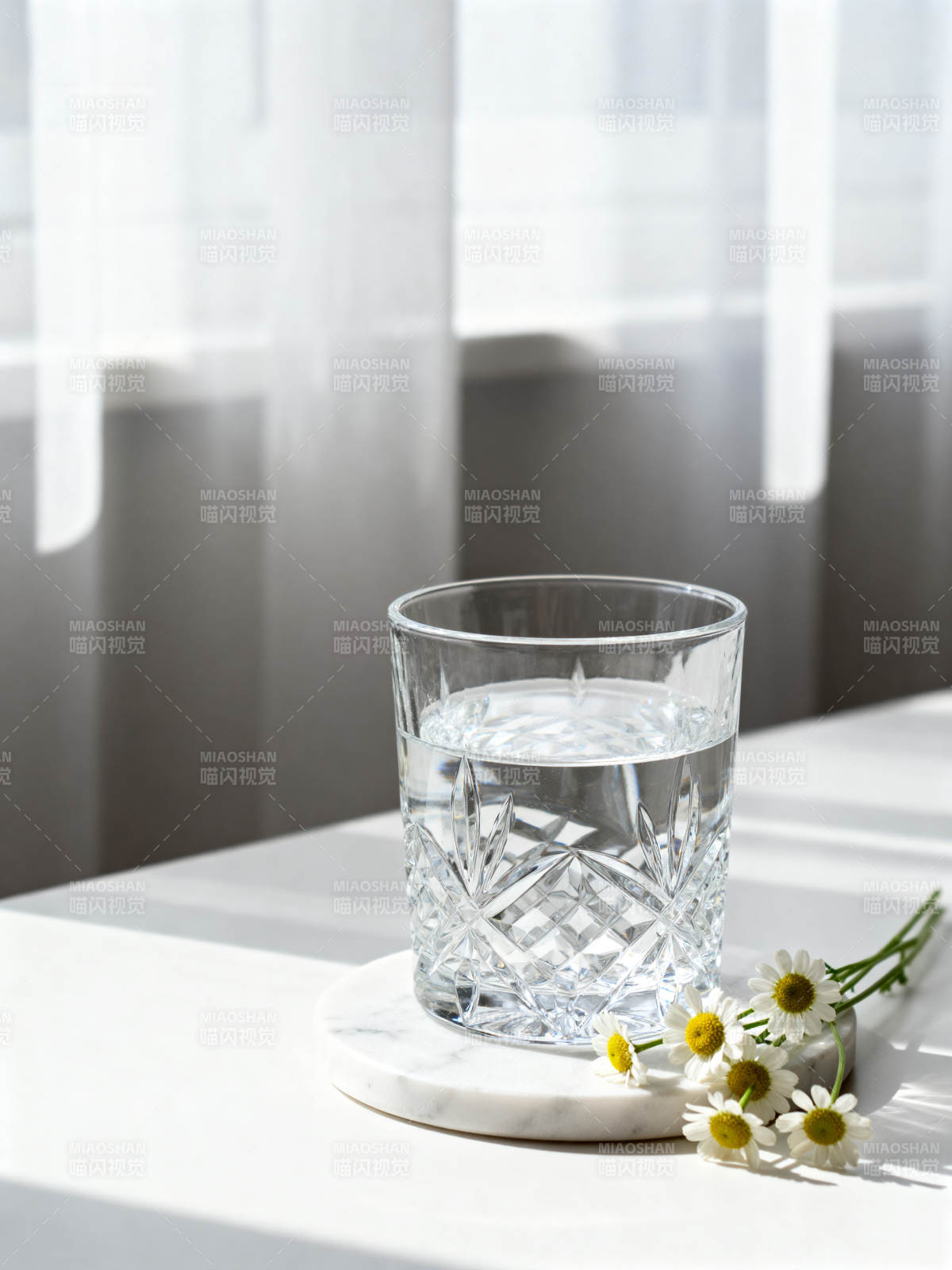 清泉映雏菊图片