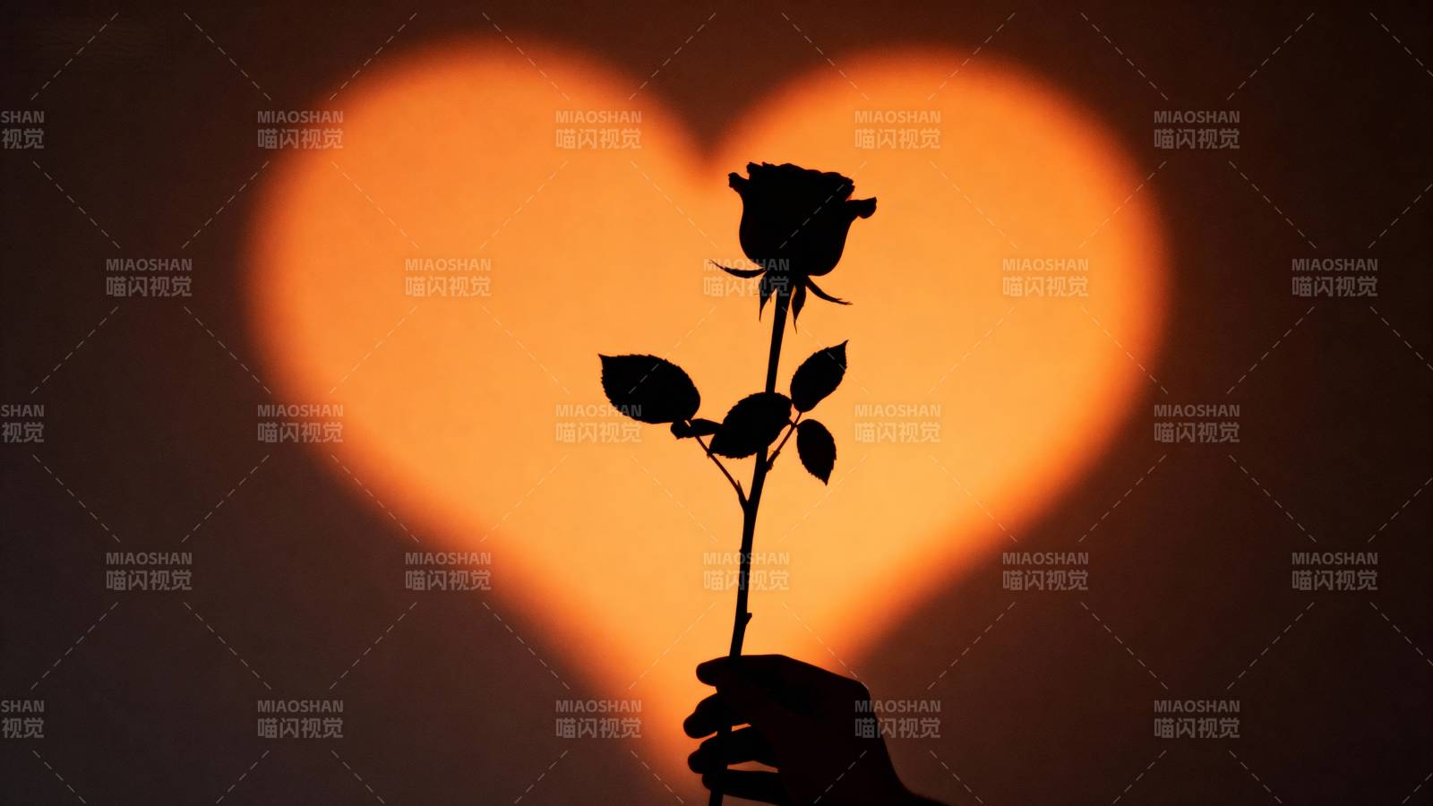 心形光影中的玫瑰图片