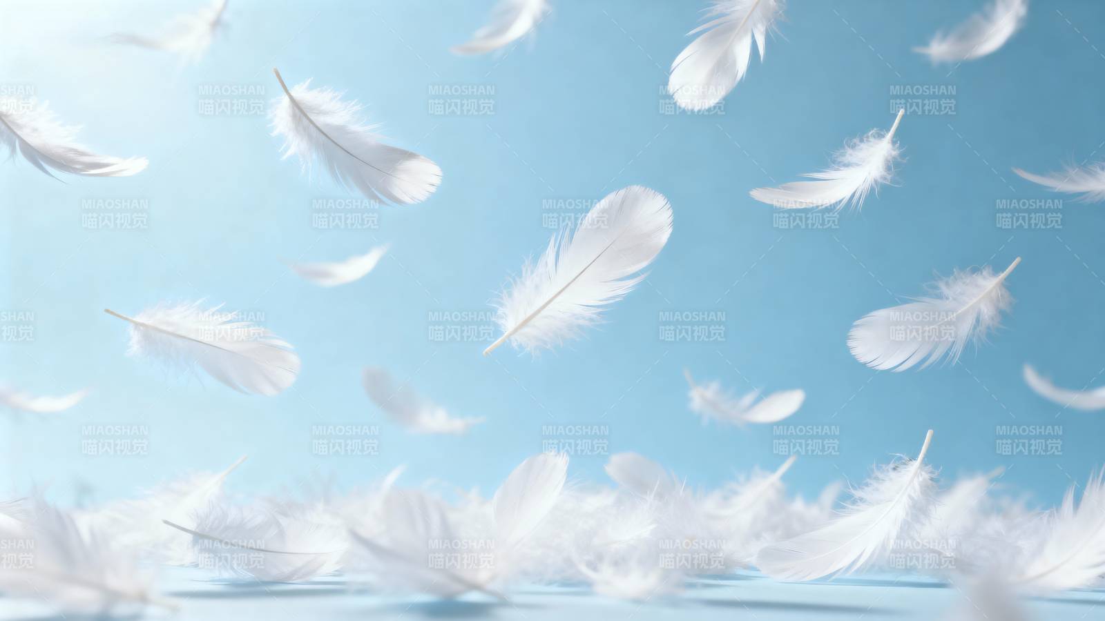 羽毛飘舞蓝天图片