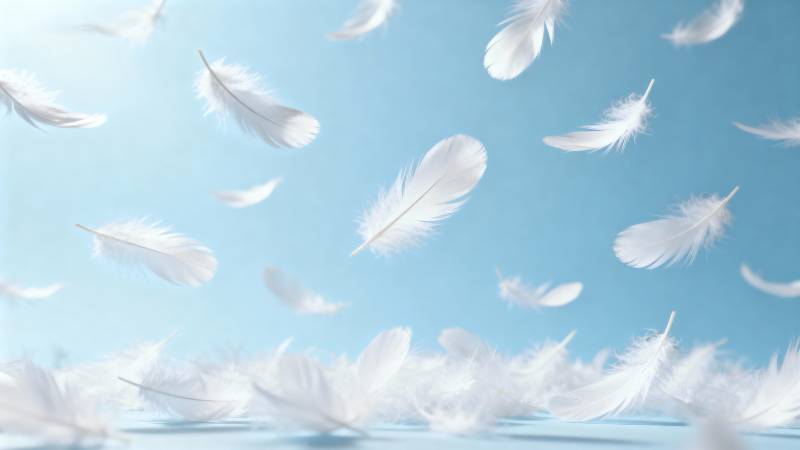 羽毛飘舞蓝天图片