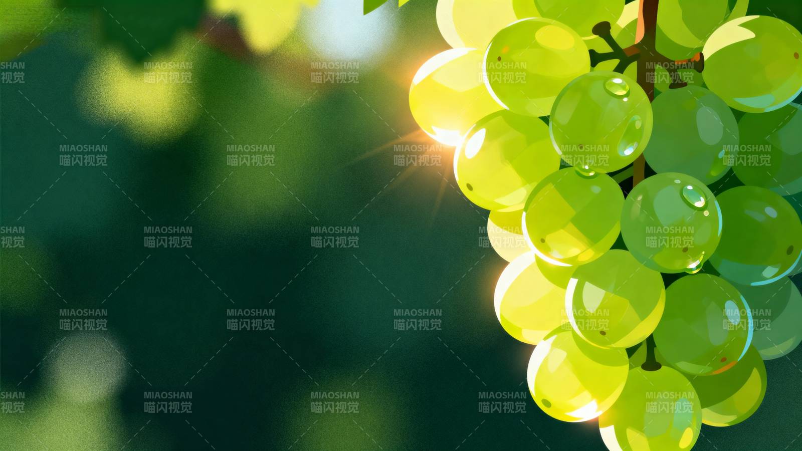 阳光下的青葡萄图片