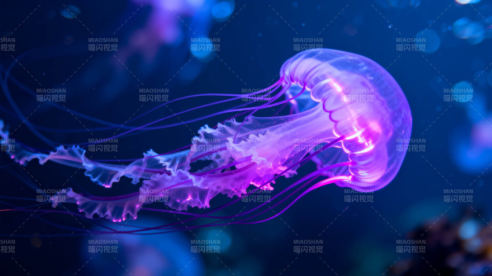 梦幻水母游弋深海图片