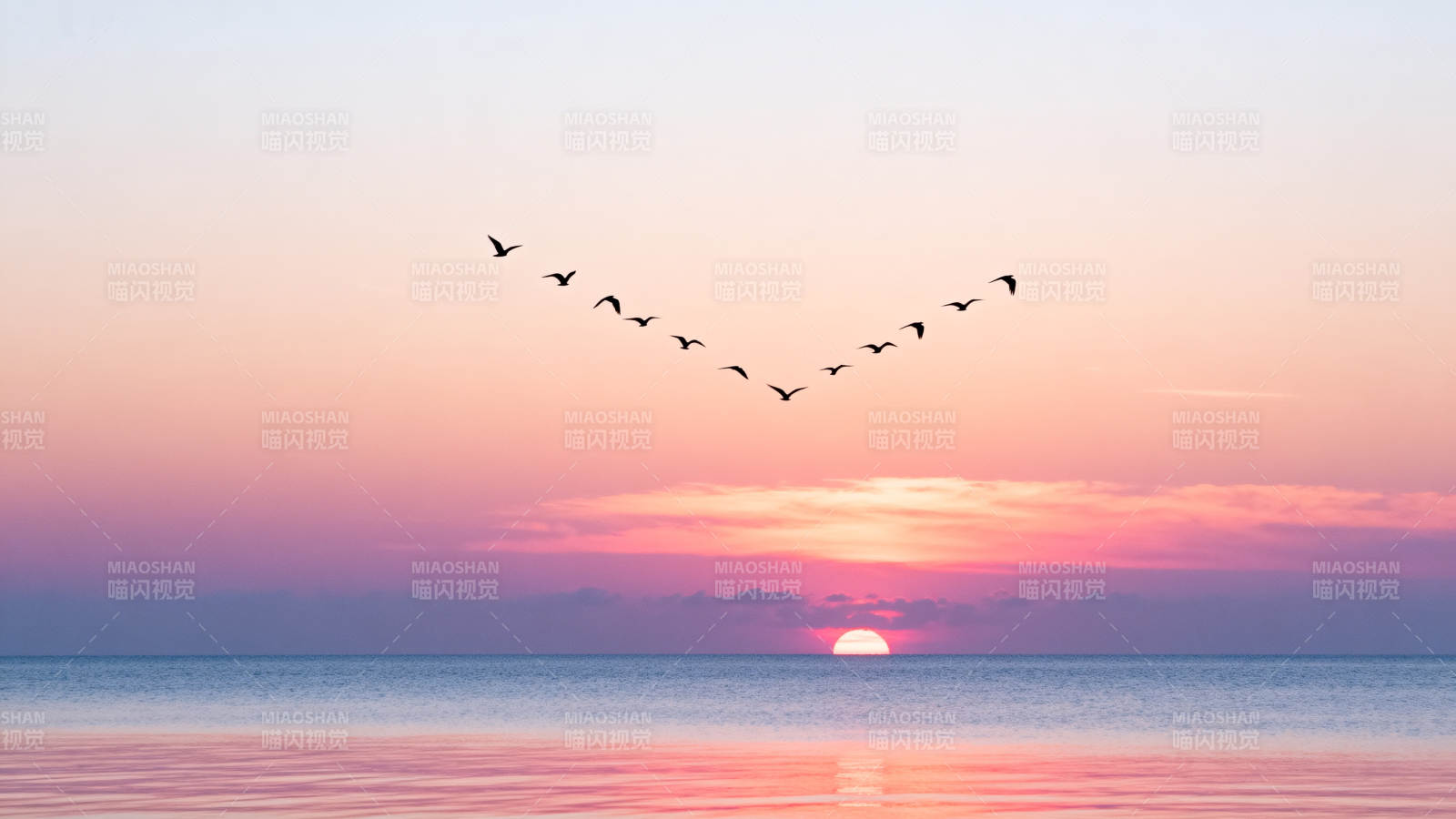 飞雁归日 海天一色图片