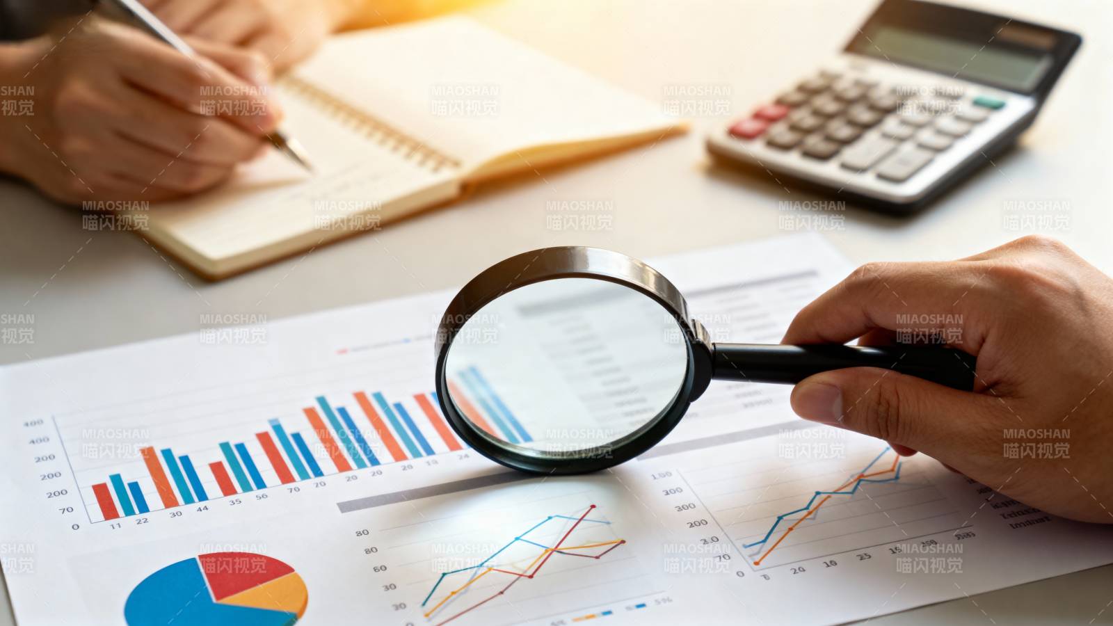 数据分析与审查图片