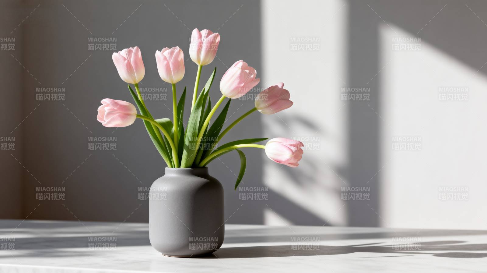 粉郁金香静物图片