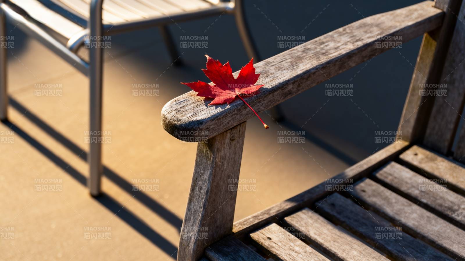 秋叶静卧木椅图片