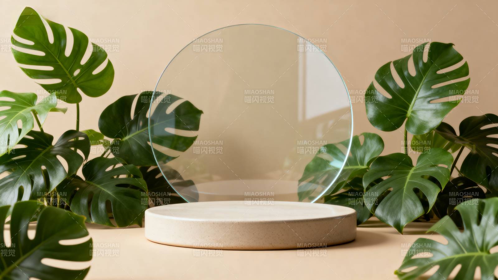 绿植环绕的透明圆镜图片