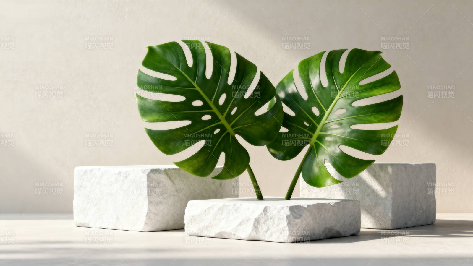 绿叶石台静谧美图片